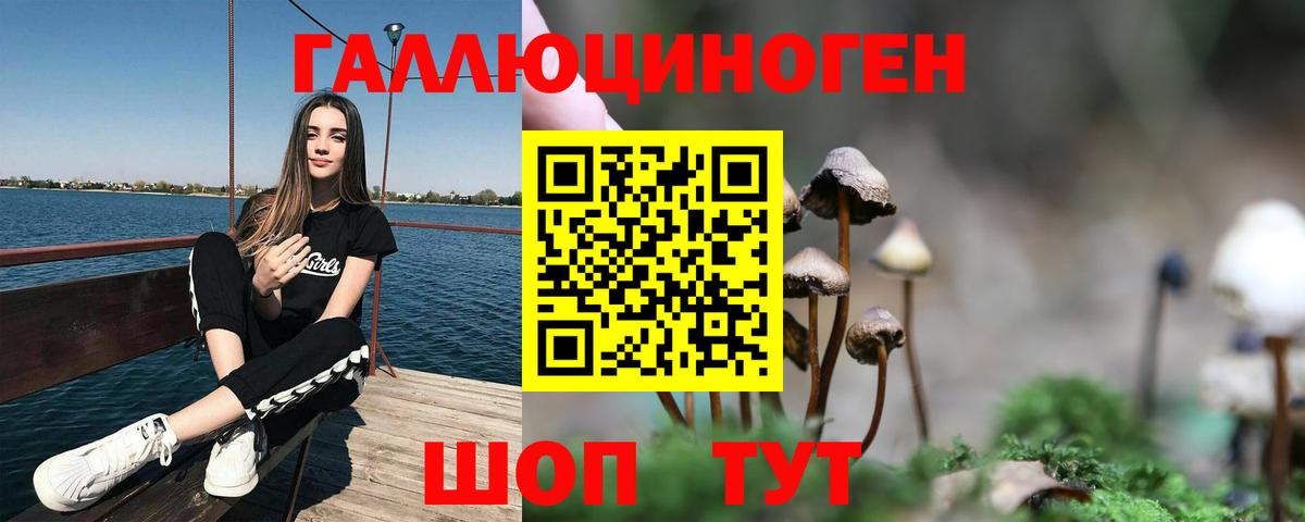 Галлюциногенные грибы Psilocybe Минеральные Воды